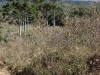 ciclom-dia21-28