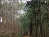 ciclom-dia29-13