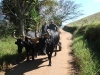 ciclom-dia05-10