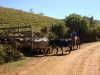 ciclom-dia05-22