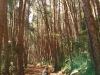 cicloviagem-2-016