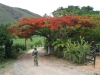 cicloviagem-6-045