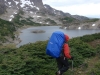 dientes-de-navarino-292