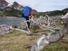 dientes-de-navarino-304