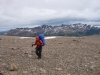 dientes-de-navarino-331