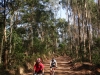 guararema-1-018