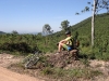 japi-2-004