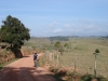 sao-luiz-do-paraitinga-2-002