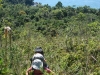 ilhabela-trek-052