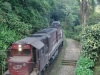marumbi-trek-65