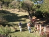 trekking-pedra-das-flores-31