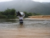 ponta-da-juatinga-026
