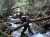 carretera-austral-488