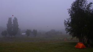 Manhã depois do avistamento do puma, no loca de ac