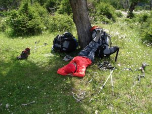 Torres del Paine GTrek (24)