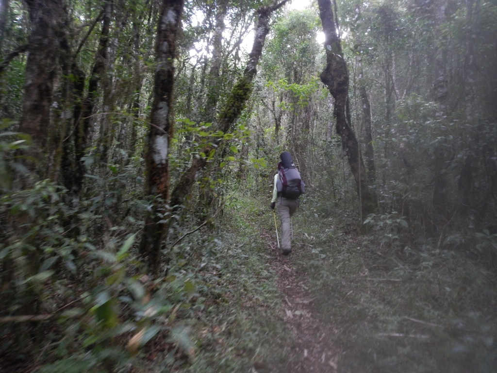 8 CURSO DE TREKKING (Março 2014) REDUX (6)