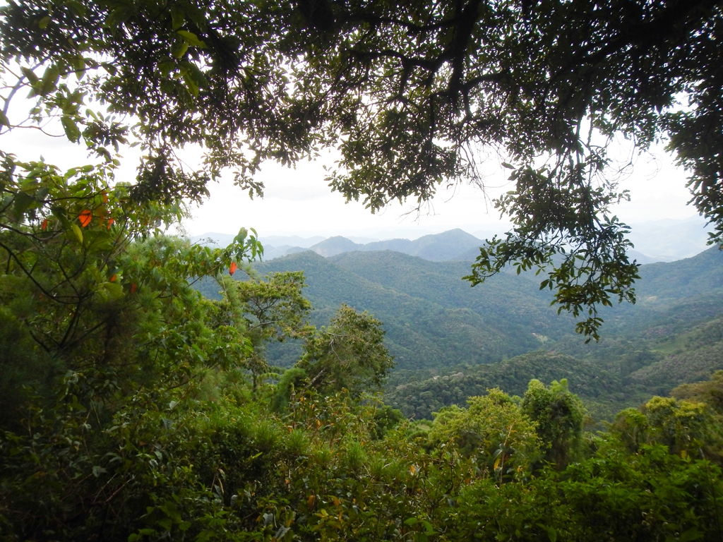 8 CURSO DE TREKKING (Março 2014) REDUX (7)